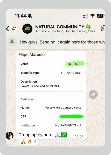 Group 2147236966 (1)